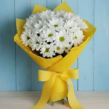 Букет цветов из:  Хризантемы в Медвежьи Озера