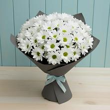 Букет цветов из:  Хризантемы в Медвежьи Озера