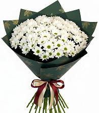 Букет цветов из:  Хризантемы в Медвежьи Озера