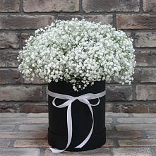 Цветочная композиция из Гипсофила в шляпной коробке #REPLACE_PRED# Медвежьи Озера